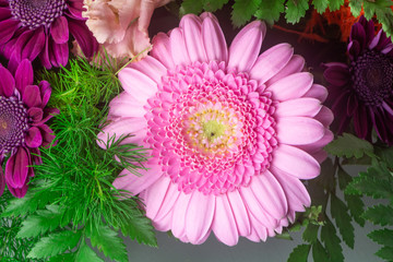 Pink gerbera in a flowers arrangement on grey background