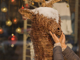 Hands stroking the fairy deer on Christmas, new year..