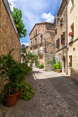 Fototapeta na wymiar The street of Gratallops - the old catalonian town - the center of vinemaking of Priorat