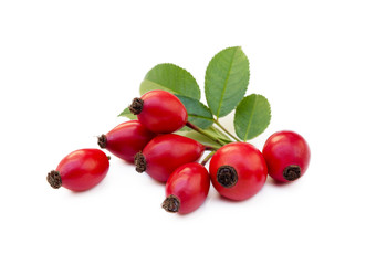 Ripe rose hip isolated on white background