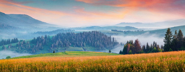 Naklejka na ściany i meble Foggy morning panorama of mountains valley. Attractive summer sunrise in Carpathian mountains, Rika village location, Transcarpathian, Ukraine, Europe. Beauty of nature concept background.