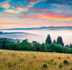 Fototapeta na wymiar Colorful summer sceneof Carpathian mountains. Foggy sunrise on Borzhava ridge, Transcarpathian, Ukraine, Europe. Beauty of nature concept background..