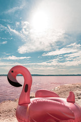 inflatable pink pelican mattress on pink sea