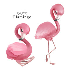 Set of cute flamingo birds