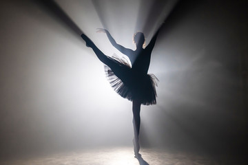 Professional ballerina dancing ballet in spotlights smoke on big stage. Beautiful young girl wearing black tutu dress on floodlights background. Black and white.