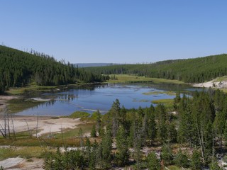Fototapeta premium View of Nymph Lake along the road north of Norris Geyser Basin in Yellowstone National Park.