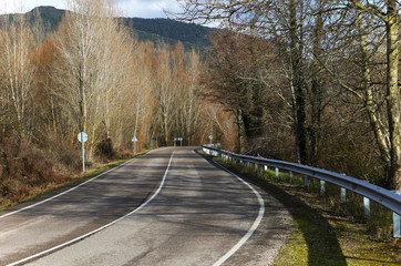 Obraz premium road in autumn