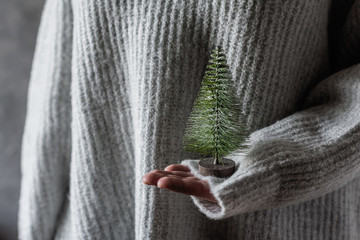 Girl in a knitted winter sweater holding a small christmas tree. Concept