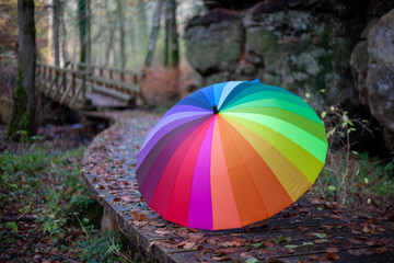My unique collection for the colorful umbrella in the fascinating Mullerthal trail in Luxembourg,...