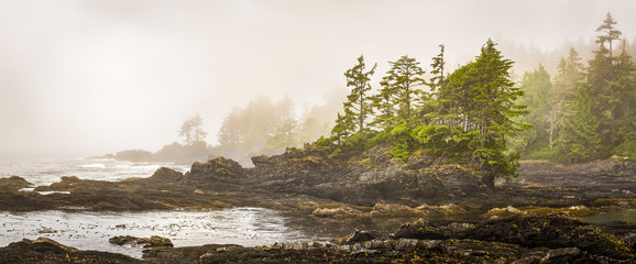 Fototapeta Misty shoreline of Botany Bay on west coast of Vancouver Island, British Columbia, Canada, with sun beginning to beak through the fog. obraz