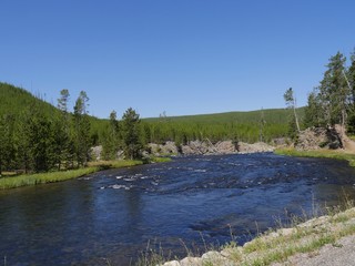 Fototapeta na wymiar Blue clear waters of the Yellowstone River flows through the forests of Yellowstone National Park, Wyoming.