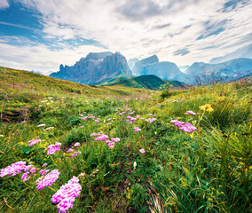 Splendid summer from Sella pass of Piz Boe mountain range. Fresh morning scene of Dolomiti Alps, Trentino-Alto Adige region, Italy, Europe. Beauty of nature concept background.