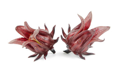 Roselle, Jamaican Sorelor or Hibiscus sabdariffa isolated on white background with clipping path.
