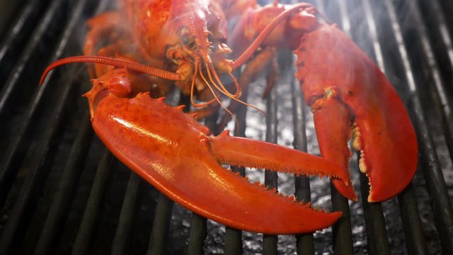 Steamed lobster seafood on grill