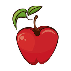 apple fresh fruit nature icon