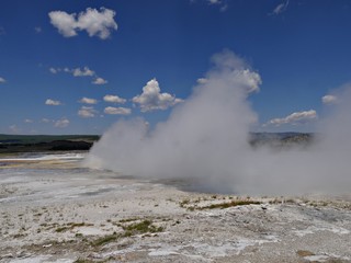 Fototapeta na wymiar Hot steam rises from the Clepsydra Geyser at the Lower Geyser Basin, Yellowstone National Park.