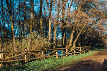 Wooden fence in the forest