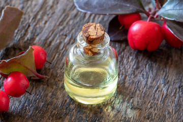 A bottle of essential oil with fresh wintergreen