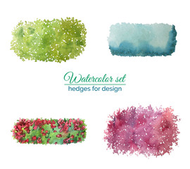 Set of different crowns hedges on top for landscaping design painted in watercolor