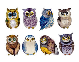 Cute watercolor owls on the white background