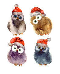 Cute watercolor owls on the white background