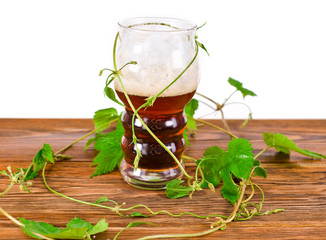 Glass of beer with natural green hop leaves on a wooden table. Isolated on a white background. Craft beer concept. 
