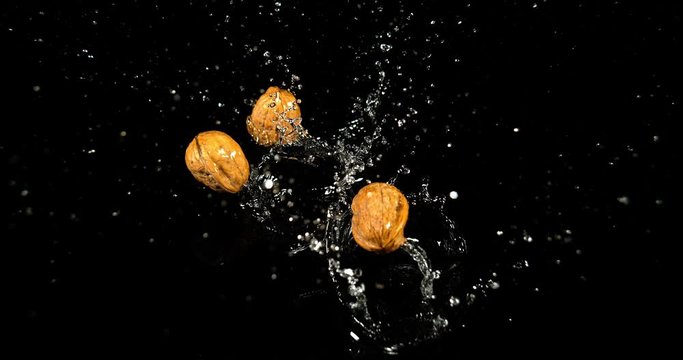 Walnut, juglans regia, Fruits falling into Water against Black Background, Slow Motion 4K
