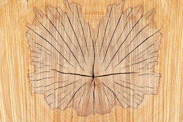 Holzstruktur mit Muster in Form eines Schmetterlings