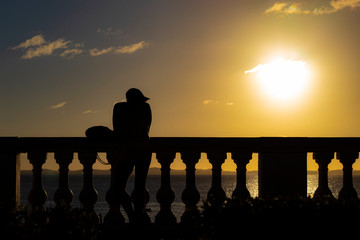 admirador do por do sol