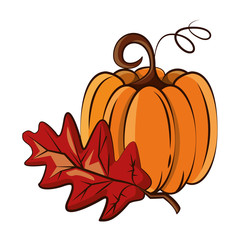 thanksgiving pumpkin with leaf autumn