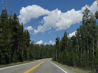 Fototapeta premium Breathtaking views driving around Yellowstone National Park, Wyoming on a beautiful day.