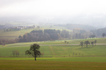 Fototapeta na wymiar Landschaft mit Bäumen Wiesen und Nebel in Euratsfeld
