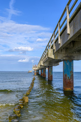 Wooden groynes covered with yellow green algae (Xanthophyceae) under a pier with columns of concrete and rusty metal.