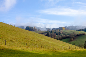 Grüne Almwiese mit WEidezaun und blauem Himmel Wolken