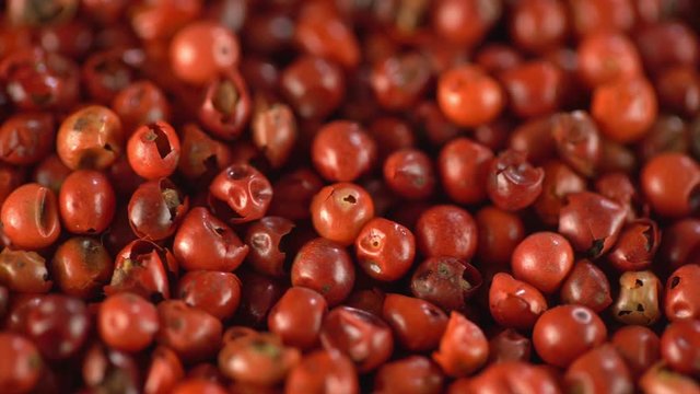 Food spices pink peppercorns red pepper Himalayan pepper berries. concept of fresh and dietary spices for cooking schools vegans and dietary products