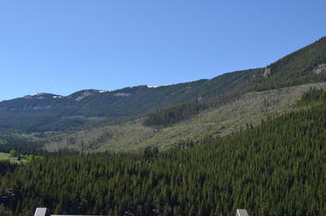 Late Spring in Wyoming: Granite Creek and Shell Canyon in the Bighorn Mountains