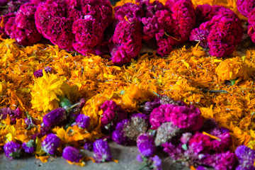 purple flowers and cempasúchil for altar of the day of the dead