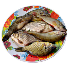 Fresh fish.