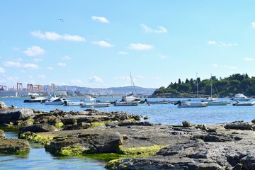  fishing shelter and marina