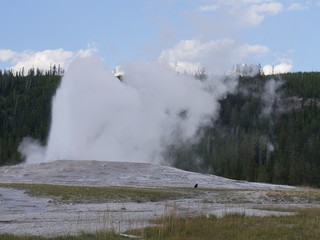 Steam and scalding water spurts off Old Faithful geyser during one of its regular eruptions at Yellowstone National Park, Wyoming.