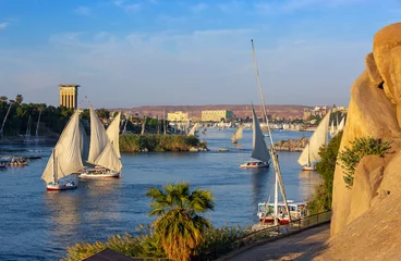 Foto op Plexiglas Beautiful landscape with felucca boats on Nile river in Aswan at sunset, Egypt © Kokhanchikov