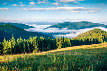 Plakat Gorgeous summer scene of Carpathian mountains. Spectacular outdoor view ofmountain valley, Ukraine, Tatariv village location, Europe. Beauty of nature concept background.
