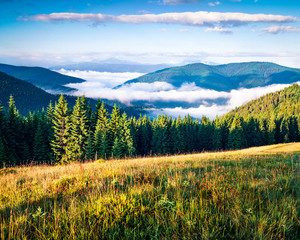 Superb summer scene of Carpathian mountains. Picturesque outdoor view ofmountain valley, Ukraine,...