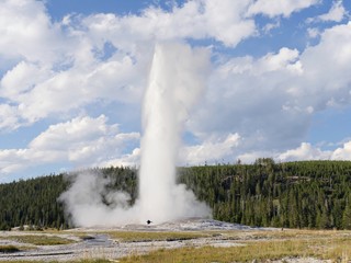 Tall colums of scalding water and steam spurt out of the Old Faithful geyser meeting the clouds during an early morning eruption at Yellowstone National Park, Wyoming.