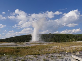 Wide breathstopping shot of colums of scalding water and steam spurting into the air from the Old Faithful geyser during an early morning eruption at Yellowstone National Park, Wyoming.