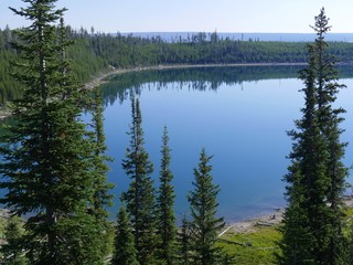 View of Lake Yellowstone seen from a cliff, with pine trees along the bank, Yellowstone National Park, Wyoming, USA.