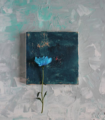 blue flower on a light background