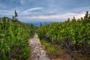 Fototapeta na wymiar hiking path made of stone in the mountains,