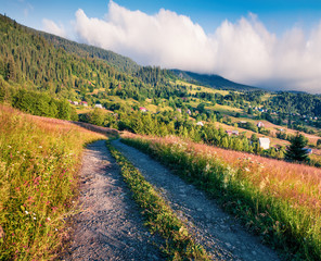 Fabulous morning scene of romanian countryside, Rogojel village location. Colorful summer landscape...