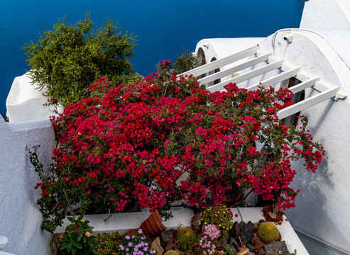 Santorini Terrace